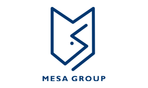 mesa group